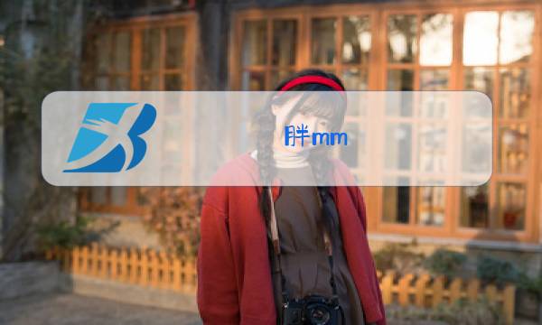 胖mm 大码 时尚冬装图片